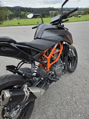 KTM Duke 390 Naked Bike Bild 4
