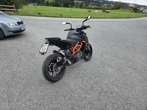 KTM Duke 390 Naked Bike Bild 2