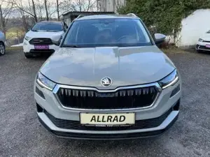 Skoda Karoq Bild 2