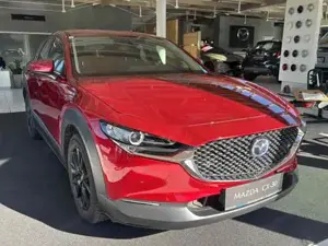 Mazda CX-30 Bild 5