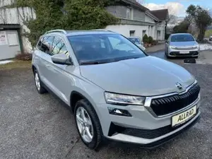 Skoda Karoq Bild 3