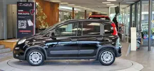 Fiat Panda Bild 4