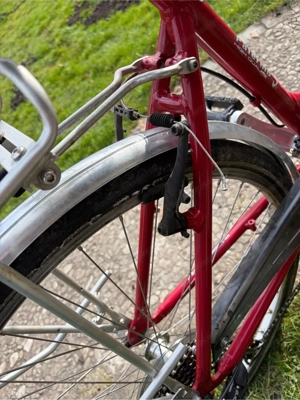 Damen Fahrrad Bild 3