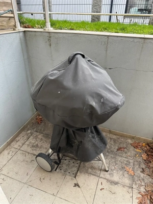 Weber Kugelgrill Bild 2