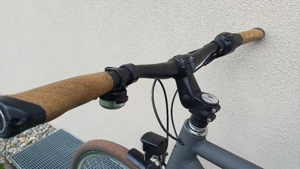 Excelsior Swagger Herrenrad Bild 3