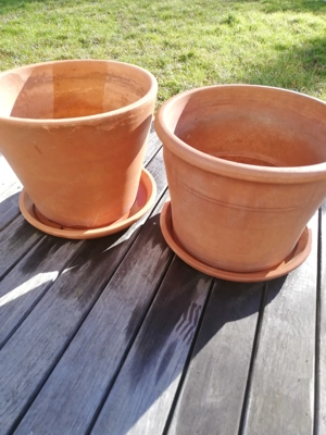 Terracotta Pflanztöpfe 2 Stück  Bild 3