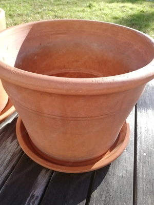 Terracotta Pflanztöpfe 2 Stück  Bild 2