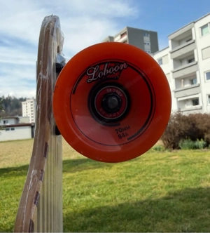 Longboard Loboon Bild 4