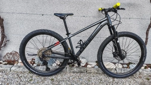 Cube Attention SL Mountainbike Bild 2