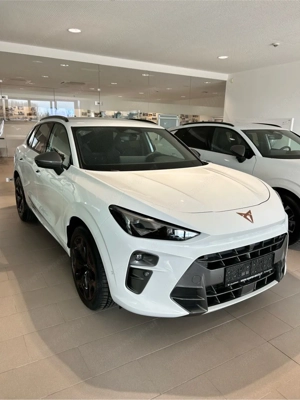 Cupra Terramar Bild 10