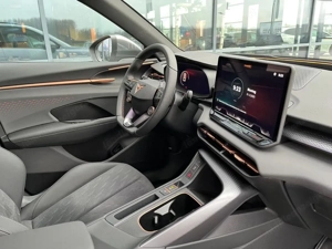 Cupra Terramar Bild 4