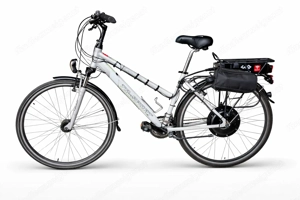 DIY E-Bike Trekkingrad 1.000 Watt Motor 