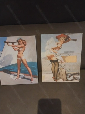6 SEXI BILDER 33,00 EUR  4 x   45x45 cm,  2 x 25 ,20 cm Bild 4