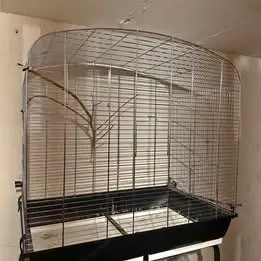 Vogelkäfig SARA gesucht.