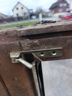 Türrahmen und Türen und Fenster  Bild 4