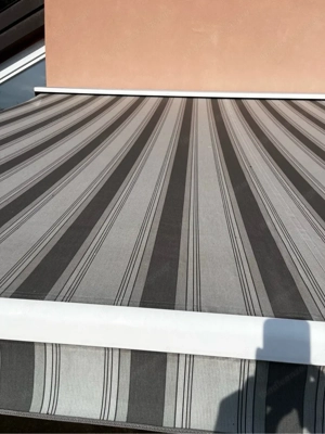 Markiese zu verkaufen Bild 3