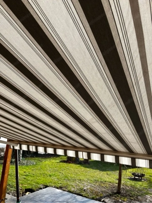 Markiese zu verkaufen Bild 4