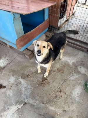 Ella möchte die Welt mir ihren Herzensmenschen entdecken Bild 2