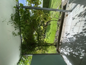 2-Zimmer Gartenwohnung zu Vermieten  Bild 6