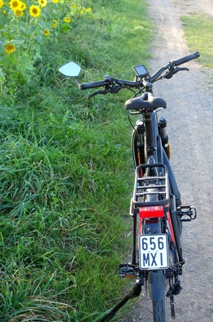 Haibike SPEED 45 kmh Trekking S 9, Yamaha-Motor, 500Wh, 20-G XT Bild 3