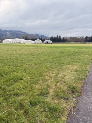 Privatverkauf: Baugrundstück in einer Sackgasse (Privatstraße), ideal für Familien, ruhige Lage Bild 3