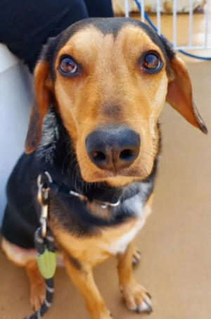 Keni - NOTFALL Österreich Bild 3