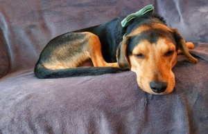 Keni - NOTFALL Österreich Bild 5