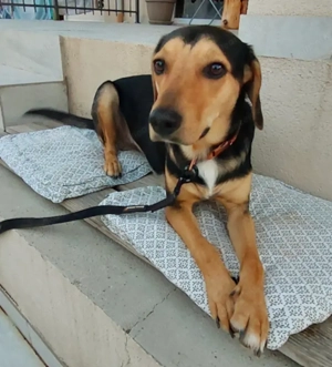 Keni - NOTFALL Österreich Bild 4