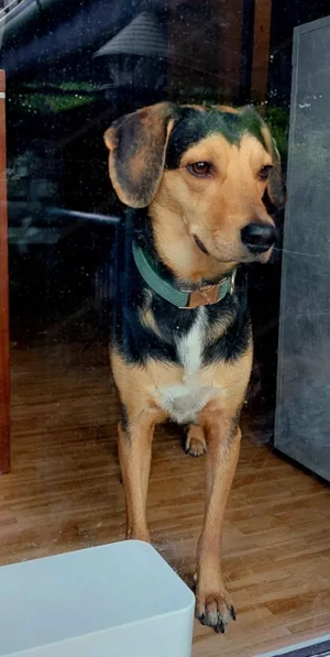 Keni - NOTFALL Österreich Bild 2