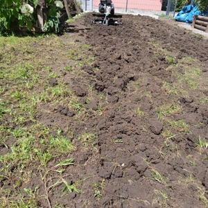 gärtner in gänze voralberg  Bild 3