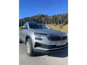Skoda Karoq Bild 11