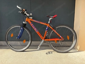 Mountainbike Service und Reifen neu! Bild 2