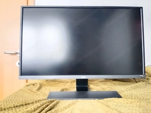 BenQ 31 Zoll Monitor 
