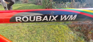 Rennrad Fuyi Roubaix WM Bild 2