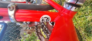 Rennrad Fuyi Roubaix WM Bild 5