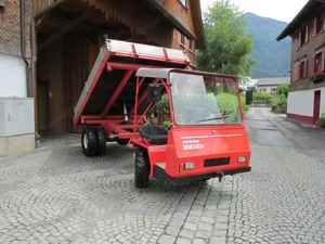 Schlepper, Transporter: Muli, Reform, Bucher, Aebi, Rapid usw gesucht