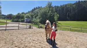 Reit- Pflegebeteiligung Bild 5