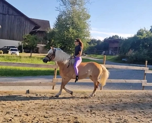 Reit- Pflegebeteiligung Bild 6