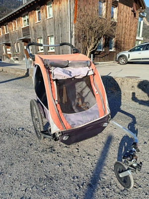 Kinderfahrradanhänger 