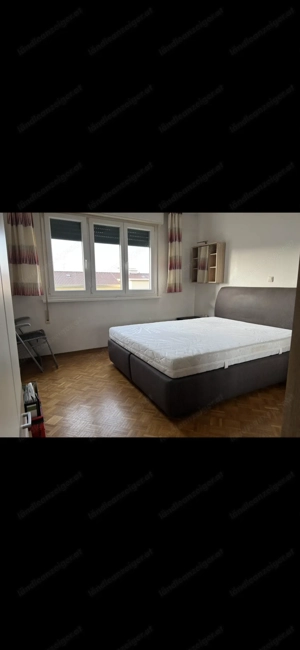 2-Zimmer Wohnung in Bregenz zu vermieten Bild 4