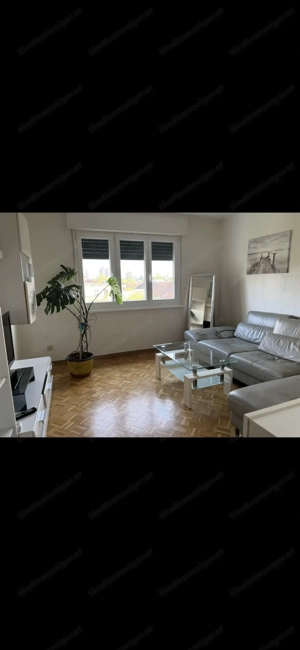 2-Zimmer Wohnung in Bregenz zu vermieten Bild 5