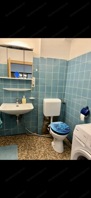 2-Zimmer Wohnung in Bregenz zu vermieten Bild 6