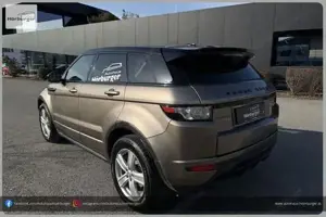 Land Rover Range Rover Bild 17