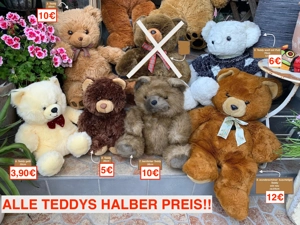 ALLE HALBER PREIS !! Wundervolle Teddy s Teddybär Bär AB 2 EURO Bild 3