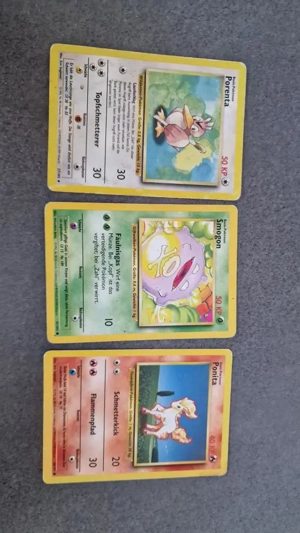 Pokemon Karten Sammlung