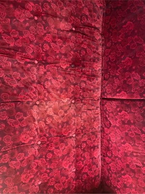 Bretz Sofa (Mammut Riesensofa) Bild 3