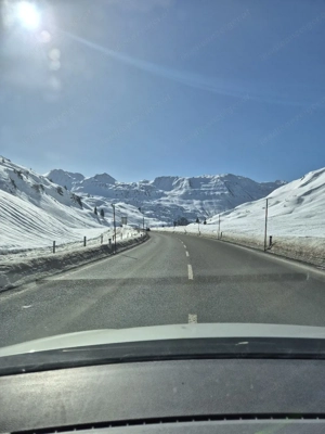 Freundschaften Bild 2