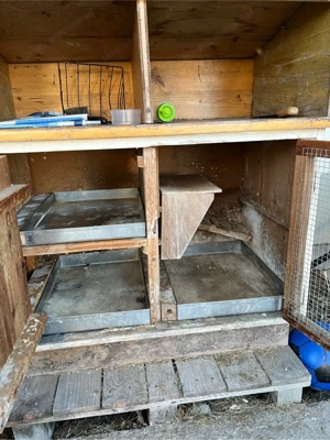 Meerschweinchen Stall Bild 3