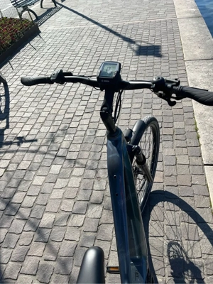 Conway Trekking E-Bike Bild 2