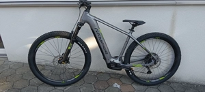 E-Mountainbike 